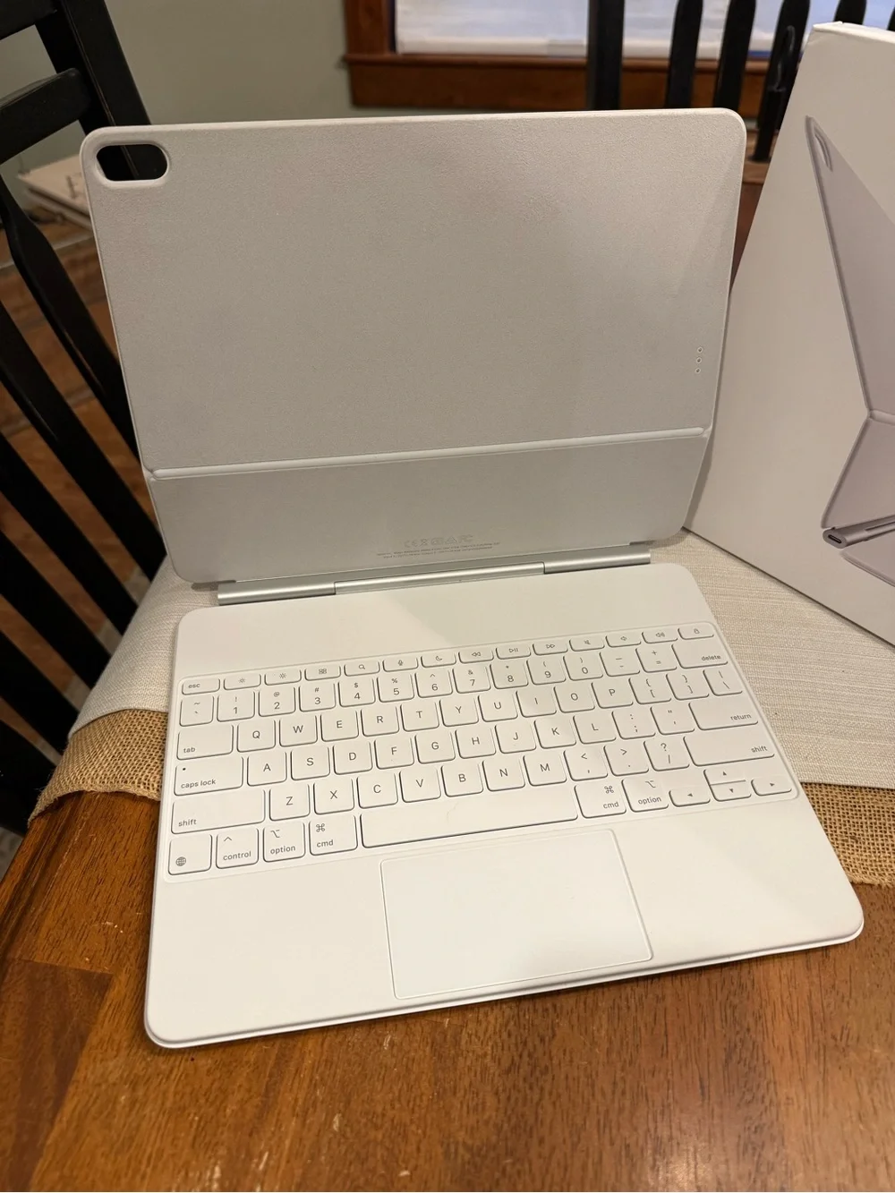 Apple ipad magic